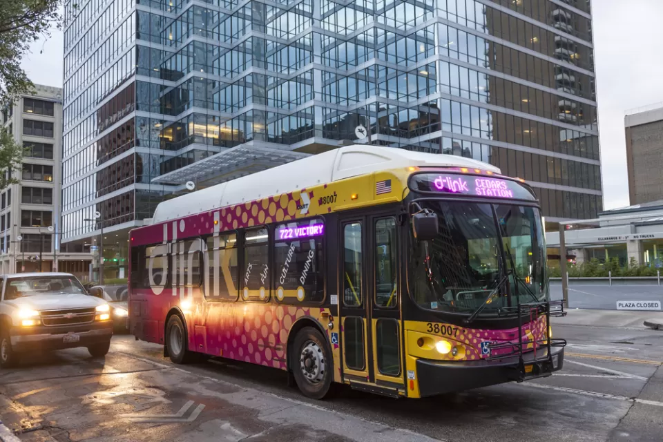 D-Link Bus
